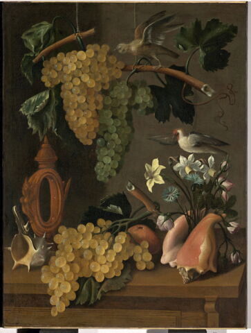 Nature morte aux raisins, fleurs et coquillages