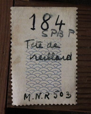 Portrait de vieillard, image 15/20