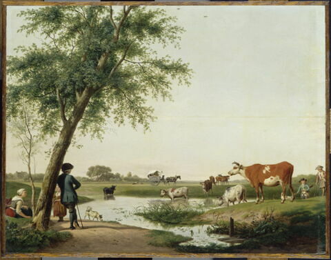 Vaches à l'abreuvoir