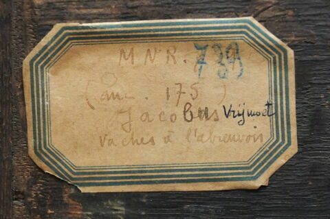 Vaches à l'abreuvoir, image 10/15