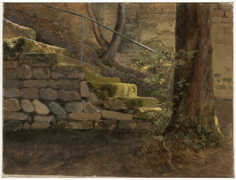 L'escalier de pierres recouvert de mousse, image 3/3