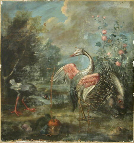 Porc-épic et deux oiseaux échassiers, image 2/3