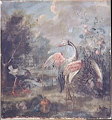 Porc-épic et deux oiseaux échassiers, image 3/3