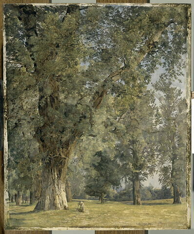 Vue du Prater à Vienne, avec arbre à gauche, image 2/2