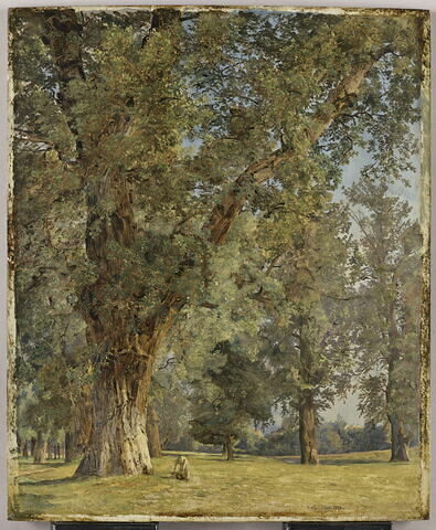 Vue du Prater à Vienne, avec arbre à gauche