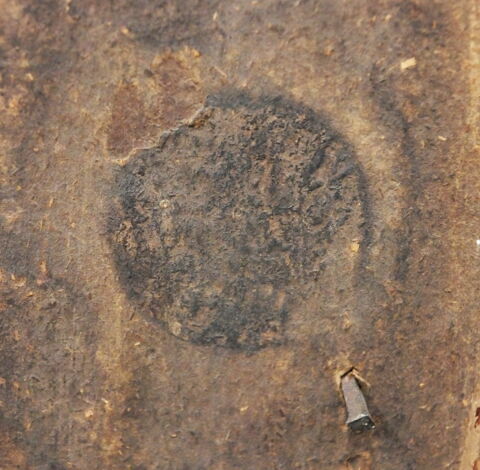 Scène galante, image 12/13