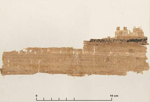 papyrus documentaire, image 2/4