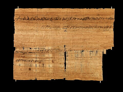 papyrus documentaire, image 4/4