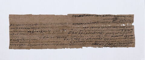 papyrus documentaire, image 3/4