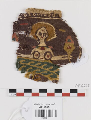orbiculus ; fragment