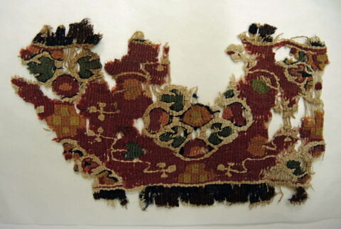 clavus ; fragment, image 2/2