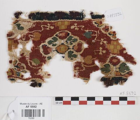 clavus ; fragment