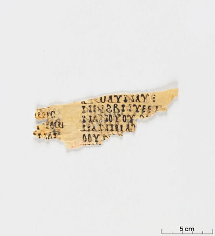 feuillet de codex ; fragment, image 2/6