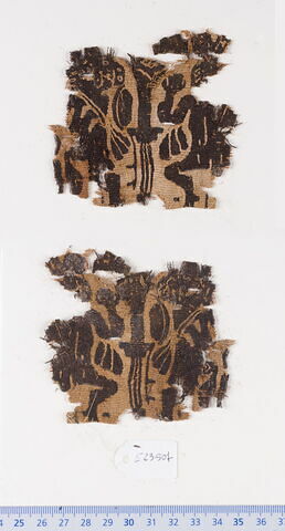 clavus  ; bande d'encolure  ; fragment