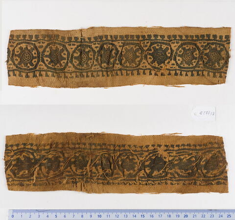 clavus ; fragment