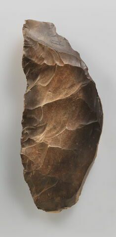 nucleus à lames