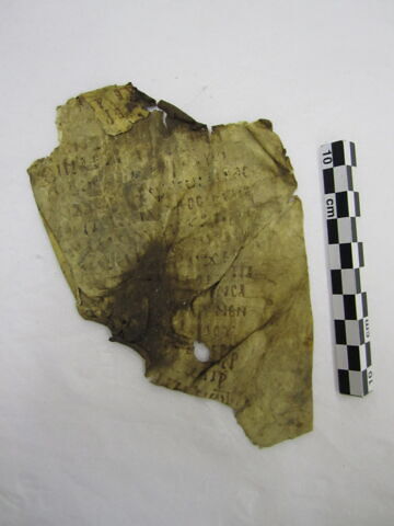 feuillet de codex ; fragment