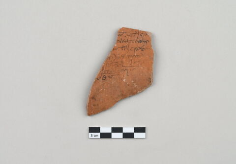 ostracon, image 2/4