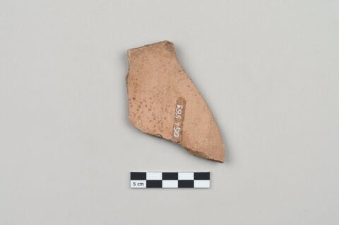 ostracon, image 3/4