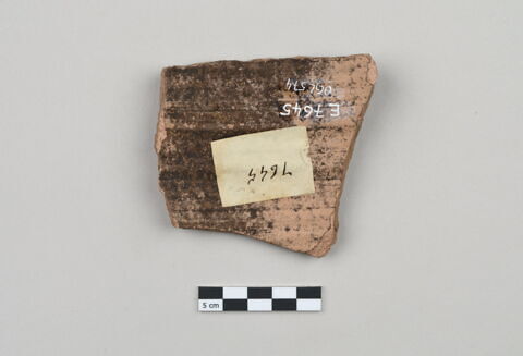 ostracon, image 3/4