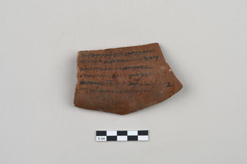 ostracon, image 2/4