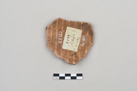 ostracon, image 3/4