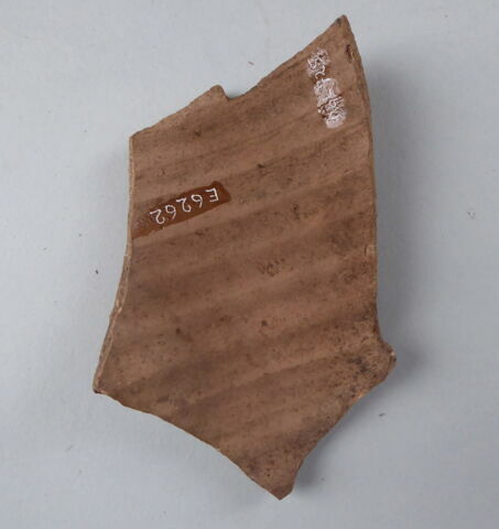 ostracon, image 5/5