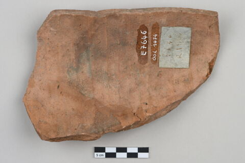 ostracon, image 3/4