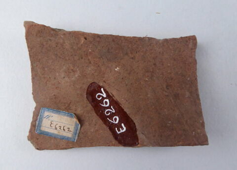 ostracon, image 5/5