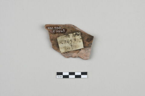 ostracon, image 2/3