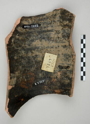 ostracon, image 3/4