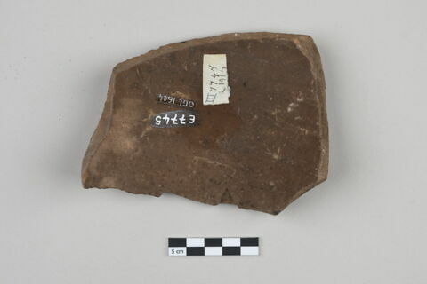 ostracon, image 2/3