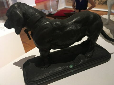 Basset debout, image 2/3