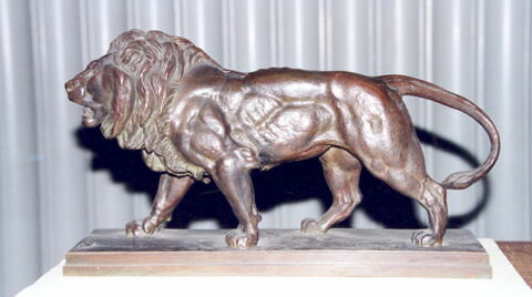 Lion qui marche