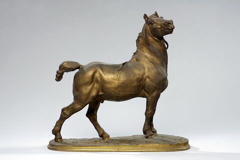 Cheval, image 1/7
