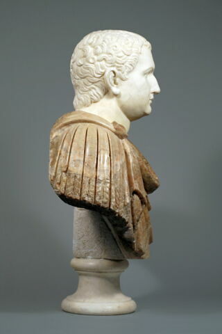 Titus, image 3/6