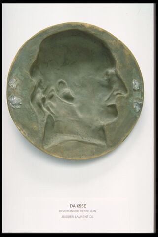 Antoine-Laurent de Jussieu, image 2/2