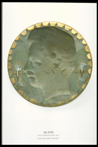 Bory de Saint-Vincent, image 2/2