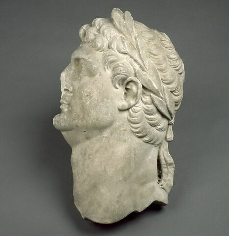 Tête masculine (Titus ?) laurée à gauche, image 2/2