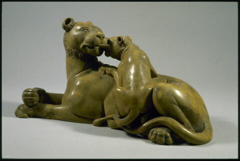Lionne et son lionceau, image 2/4