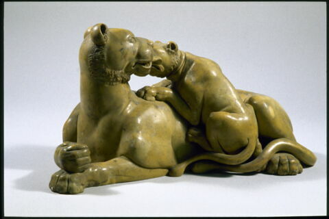 Lionne et son lionceau, image 4/4