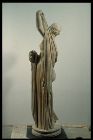 Venus callipyge, image 3/4