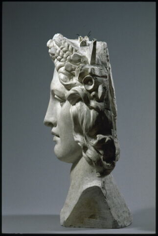 Tête, image 2/4