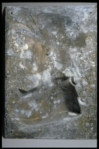 Profil de guerrier, image 4/4