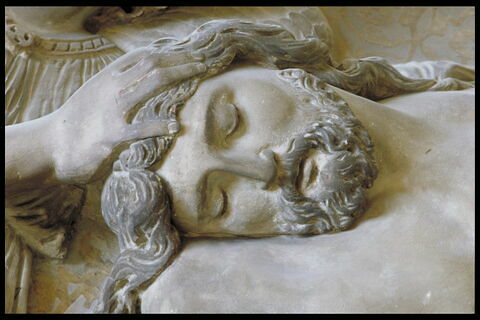Vierge de pitié avec Philippe le Bel, abbé de Sainte-Geneviève, en prière, image 7/9