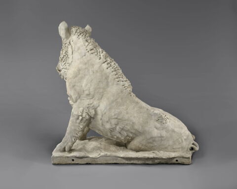 Sanglier, image 2/4