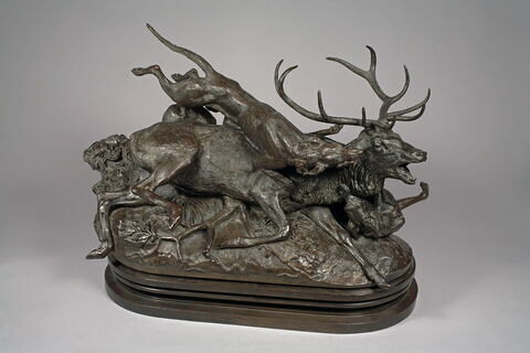 Cerf dix cors terrassé par deux lévriers d'Ecosse, image 7/10