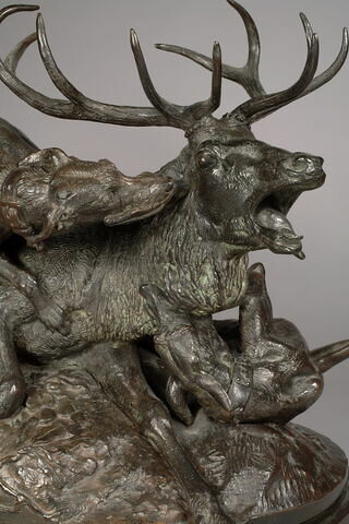 Cerf dix cors terrassé par deux lévriers d'Ecosse, image 8/10