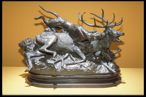 Cerf dix cors terrassé par deux lévriers d'Ecosse, image 10/10