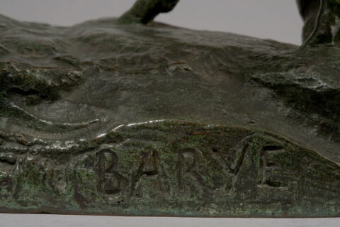 Daim daine et deux faons, image 13/13
